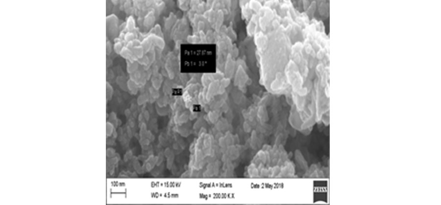 Photocatalytic and antibacterial activity of silver nanoparticles (AgNPs) using palm (Borassus flabellifer L.) water ( Pathaneer )