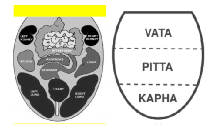 Computerized pragmatic assessment of Prakriti Dosha using tongue images- Pilot study