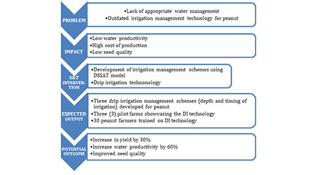 Peanut production through innovative water management strategies
