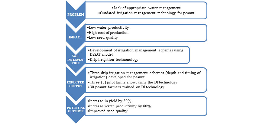 Peanut production through innovative water management strategies