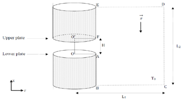 Numerical investigation of free convection through a horizontal open-ended axisymmetric cavity