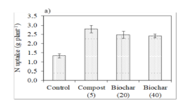Slow Pyrolyzed Banana Leaf Waste Biochar Amended Calcareous Soil Properties and Maize Growth
