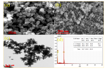 Electrochemical Activity of TiO2 Nanoparticles in NaOH Electrolyte via Green Synthesis Using Calotropis gigantea Plant Leaf Extract