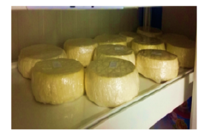 Elaboration of a Semi-Hard Cheese, ”Gouda” Type, with Autochthonous Strains and Analysis of its Physicochemical and Sensory Composition