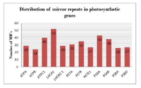 In Silico Analysis of Structural Photosynthetic Genes of Arabidopsis thaliana for Unique Mirror Repeats