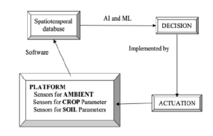 Spatiotemporal Database Schema for Data Driven Applications in Smart Agriculture