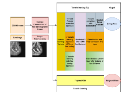 Breast Cancer Diagnosis in Mammography Images Using Deep Convolutional Neural Network-Based Transfer and Scratch Learning Approach