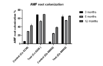 Evaluating the Influence of Commercial Arbuscular Mycorrhizal Fungi (Greenical VAMTM ) on Sugarcane Growth and Yield
