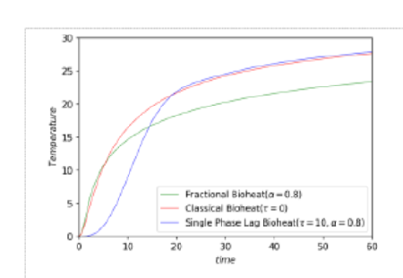 Numerical Solution of Subdiffusion Bioheat equation with Single Phase lag