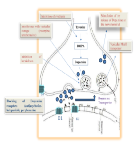 Exploring the Landscape of Mental Health: Progress in Psychosis Treatment and the Therapeutic Potential of Phytochemicals