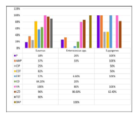 Bacteriological Landscape and Antimicrobial Susceptibility Patterns of Pus isolates: A Comprehensive Analysis