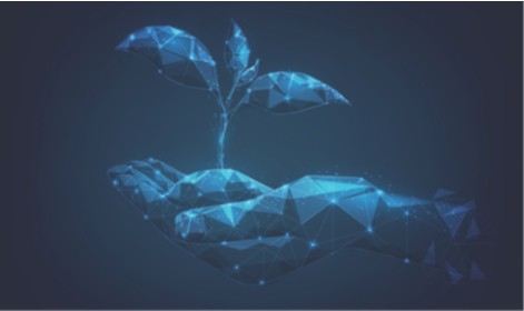 Responsible Fintech In India: Sound Architecture, But Gates Only Half Open