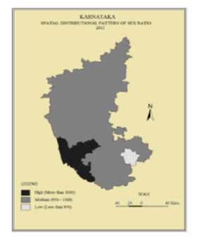 REGIONAL IMBALANCES IN THE LEVEL OF LITERACY IN KARNATAKA: VITAL INPUTS FOR POLICY FORMATION TO BRIDGE THE GAP