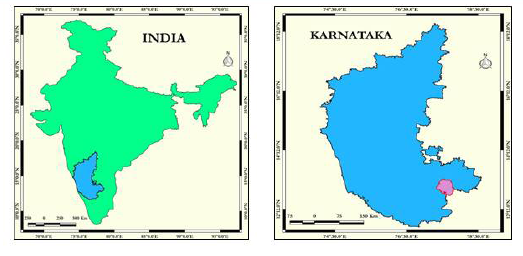 Selected issues and challenges of Bangalore metropolitan — A critical analysis