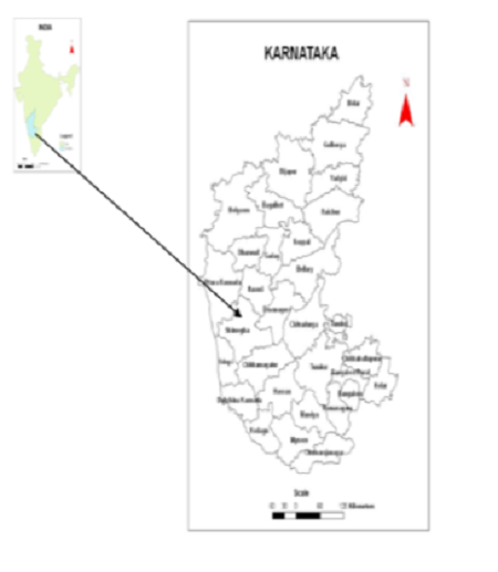 Decadal growth of population: A case study of Karnataka