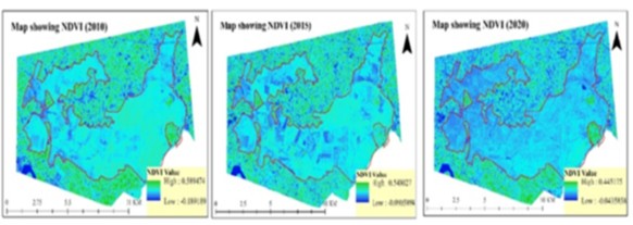 Change in the Forest Cover of the Tikri Reserved Forest Area of Gonda district in Uttar Pradesh: A Land Use / Land Cover Analysis