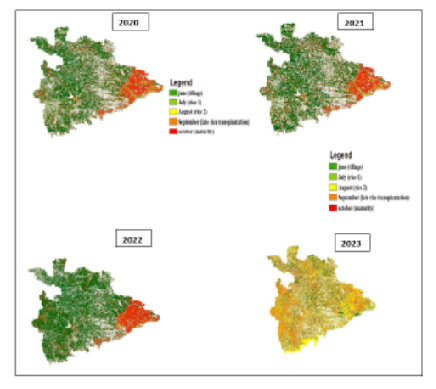 Monitoring Rice Crop Dynamics in Koppal District using Time-Series Sentinel-1 Data on Google Earth Engine
