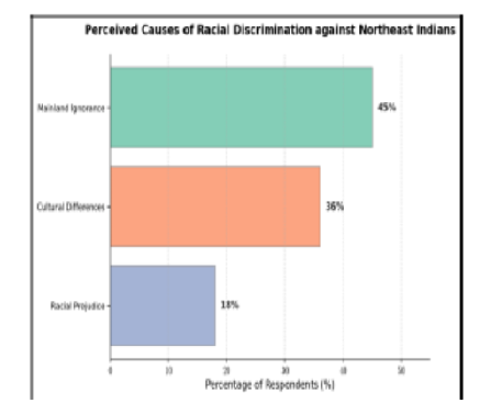 Racial Discrimination in India: The North East Experience and the Limits of Constitutional Equality