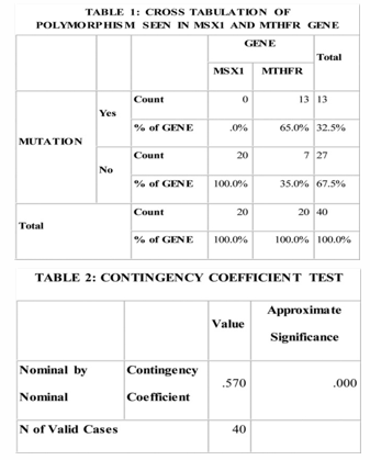 Contribution of mthfr and msx1 to the risk of developing nonsyndromic ...