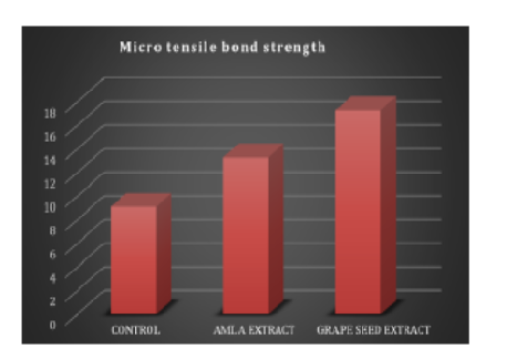 The Effect of Dentin Biomodification using Naturally Derived MMP Inhibitors on Microtensile Bond Strength of Composite Resin - An In vitro Study