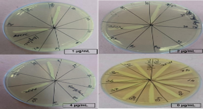 Colistin Susceptibility and Plasmid Mediated mcr-1 Gene Prevalance among Multi Drug Resistant Clinical Isolates of Escherichia coli, Kebsiella pneumoniae and Pseudomonas aeruginosa - A Hospital Based Cross Sectional Study