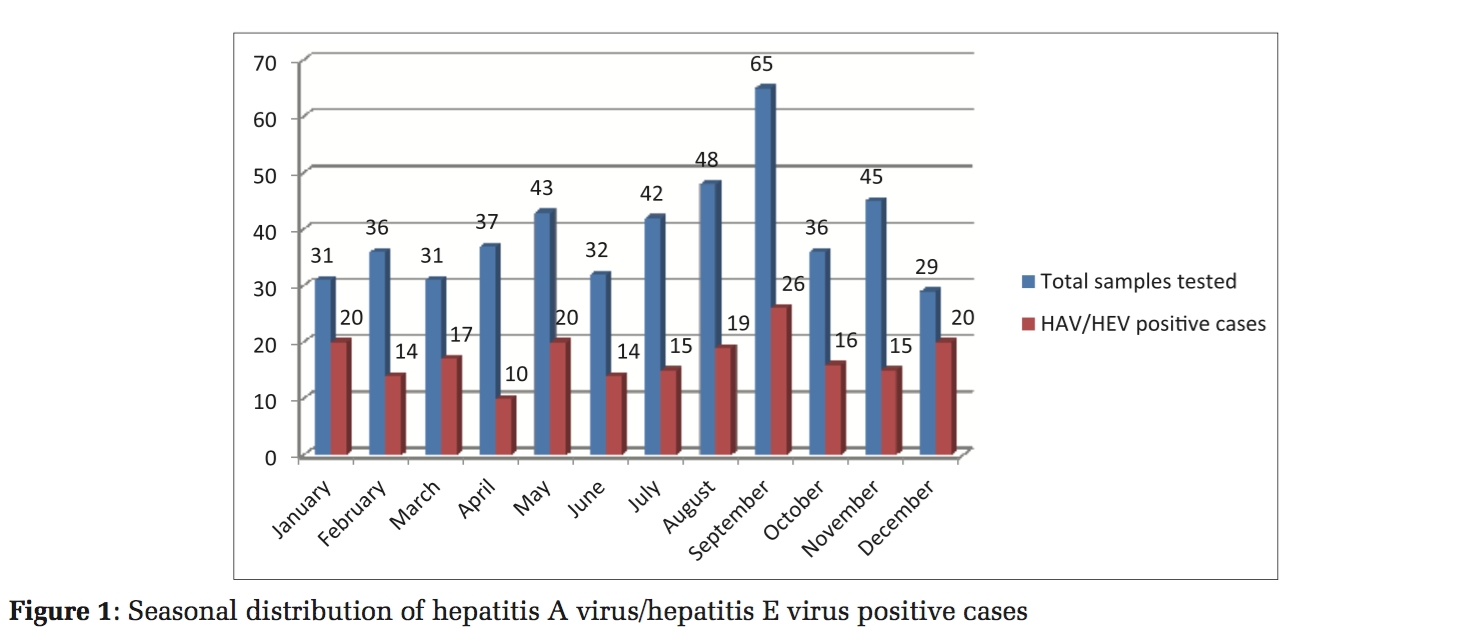 A Study of Seroprevalence and Co-infection of Hepatitis A and Hepatitis E Viruses in Sporadic Cases in an Endemic Area
