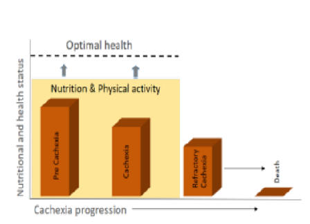 Nutritional Management in Cancer Cachexia