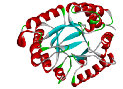 In Silico Docking and Admet Prediction of a Novel Antibacterial Derivatives (Schiff Base) Targeting Dihydropteroate Synthase (1aj2)