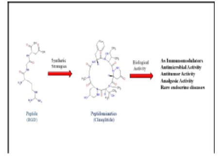 Peptidomimetics : A New Era in Drug Discovery