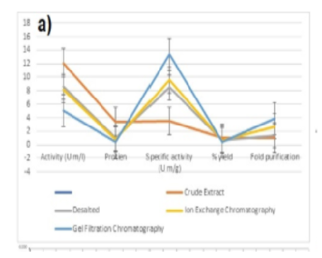 An In-Vivo Study: Development of Immobilized Fe3O4 Magnetic Streptokinase Nanoparticles Purified from Streptococus Pyogenes Ebl-48 to Enhance the Drug Delivery