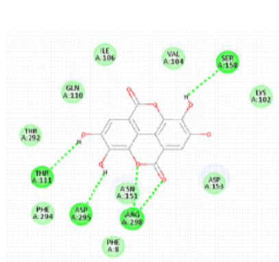Computational Screening of Bio-active Constituents of Anthocephalus cadamba as Factors that may Inhibit SARS-CoV-2 Main Protease (Mpro)