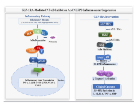 Anti-Inflammatory and Antioxidant Mechanisms of GLP-1 Receptor Agonists: Molecular Pathways and Therapeutic Implications