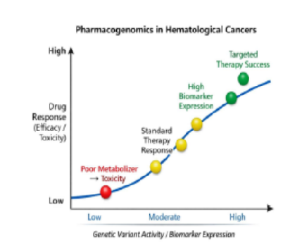 Precision Oncology in Hematological Malignancies: Pharmacogenomics for Enhanced Therapeutic Efficacy and Diminished Toxicity
