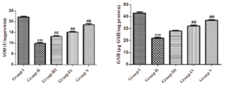 Virgin Coconut Oil Solubilised Curcumin Protects Nephropathy in Diabetic Rats