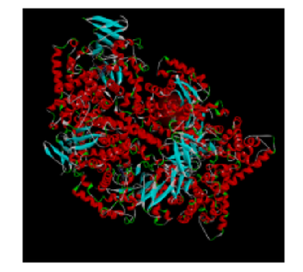 Molecular Docking Study of Heterocyclic Compounds for Antifungal Activity Against Granulomatous Amoebic Encephalitis